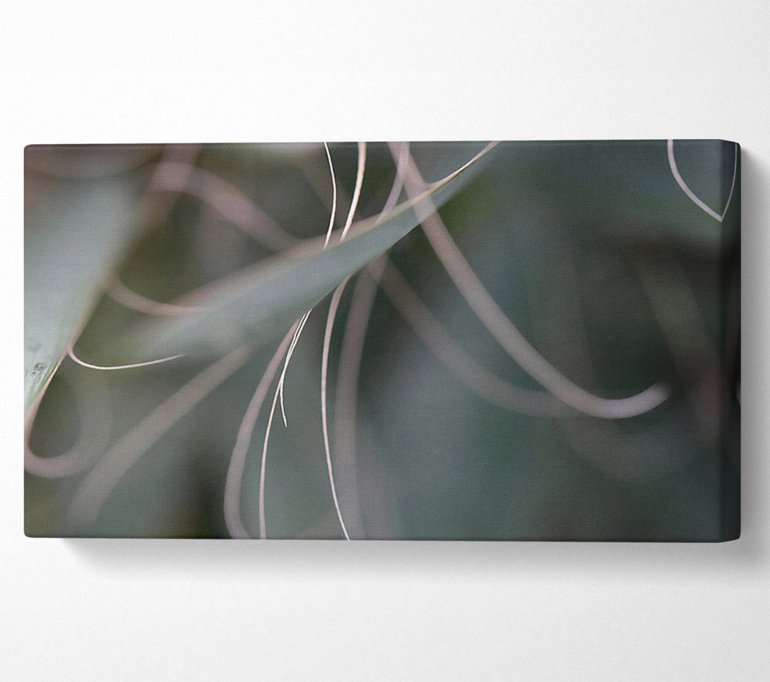  A Canvas Print of Emerald Threads Of Light. Canvas Wall Art