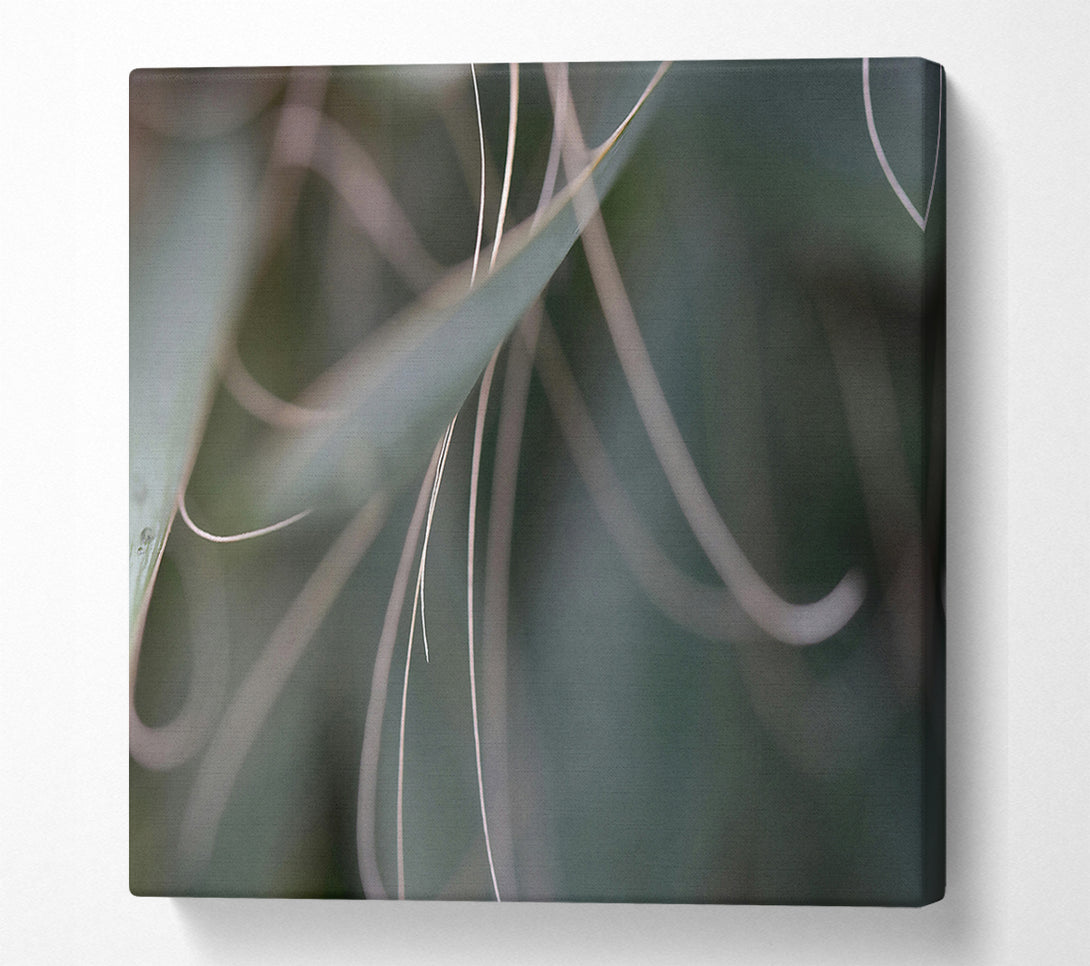  A Canvas Print of Emerald Threads Of Light. Canvas Wall Art