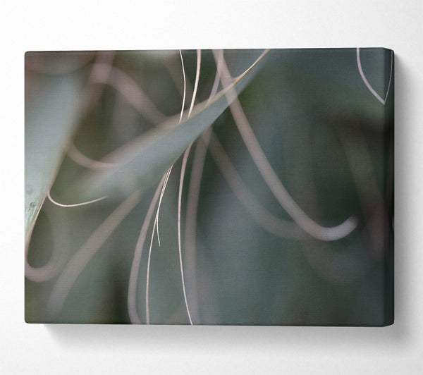  A Canvas Print of Emerald Threads Of Light. Canvas Wall Art
