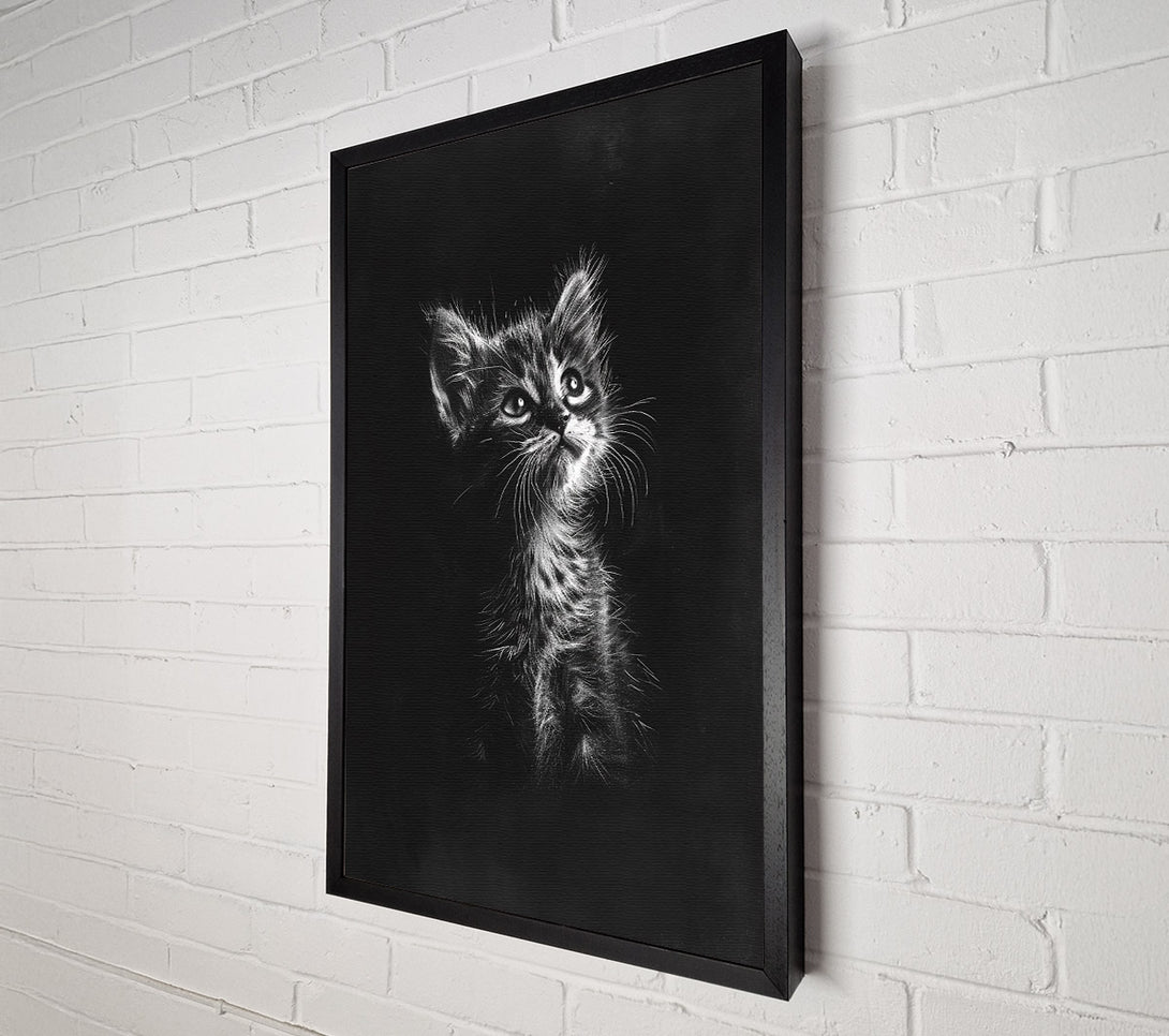  A Canvas Print of White Kitten Gaze Canvas Wall Art