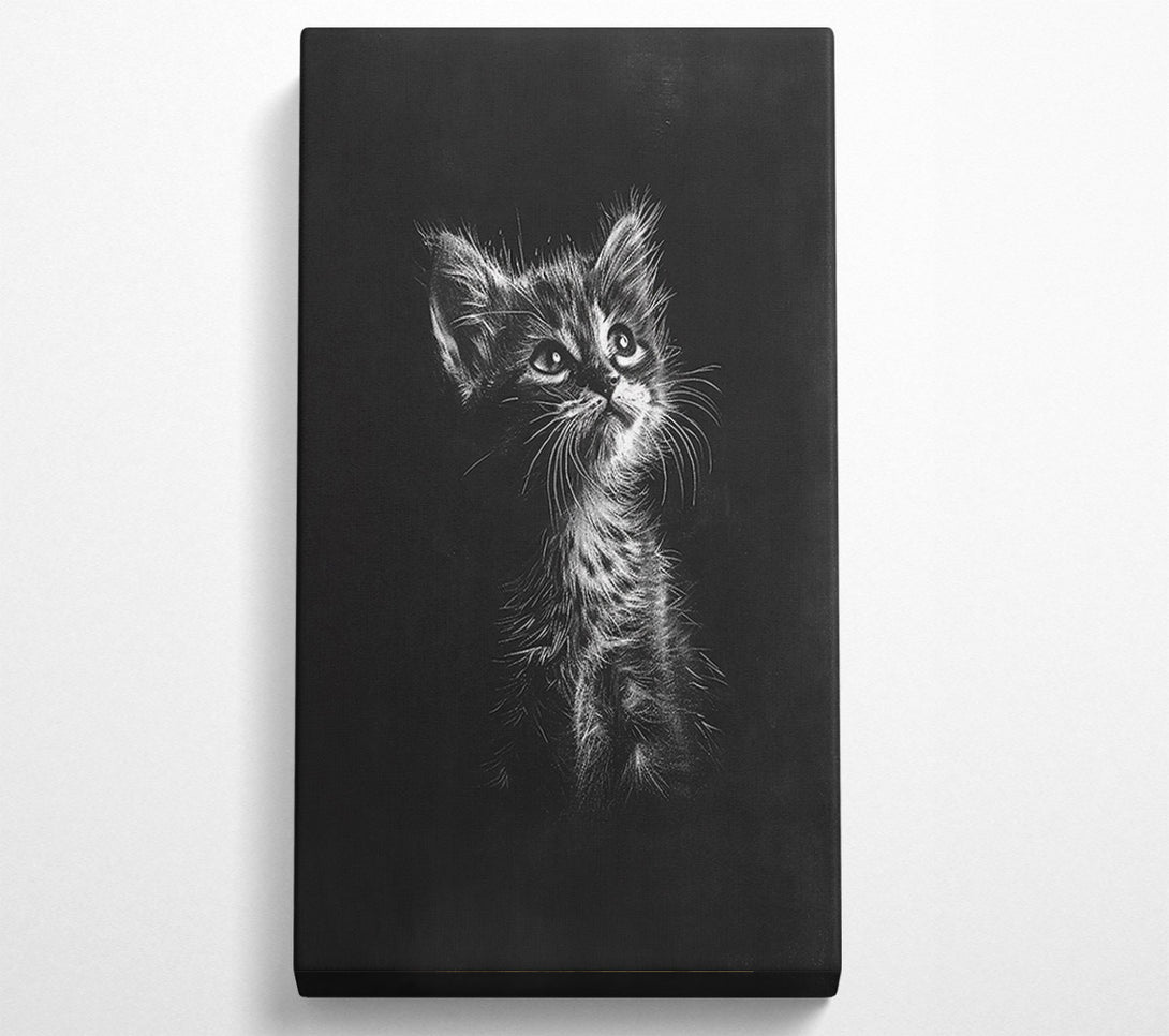  A Canvas Print of White Kitten Gaze Canvas Wall Art