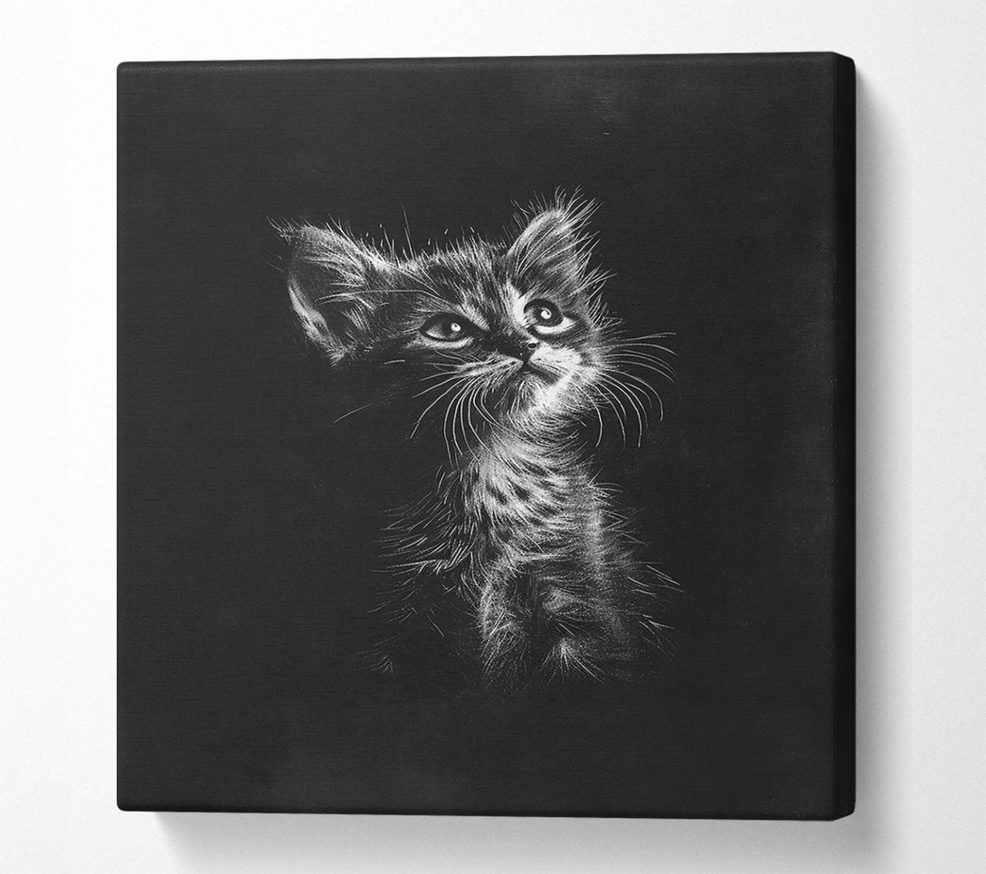 A Canvas Print of White Kitten Gaze Canvas Wall Art