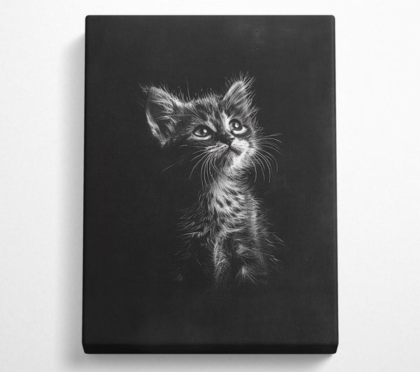  A Canvas Print of White Kitten Gaze Canvas Wall Art