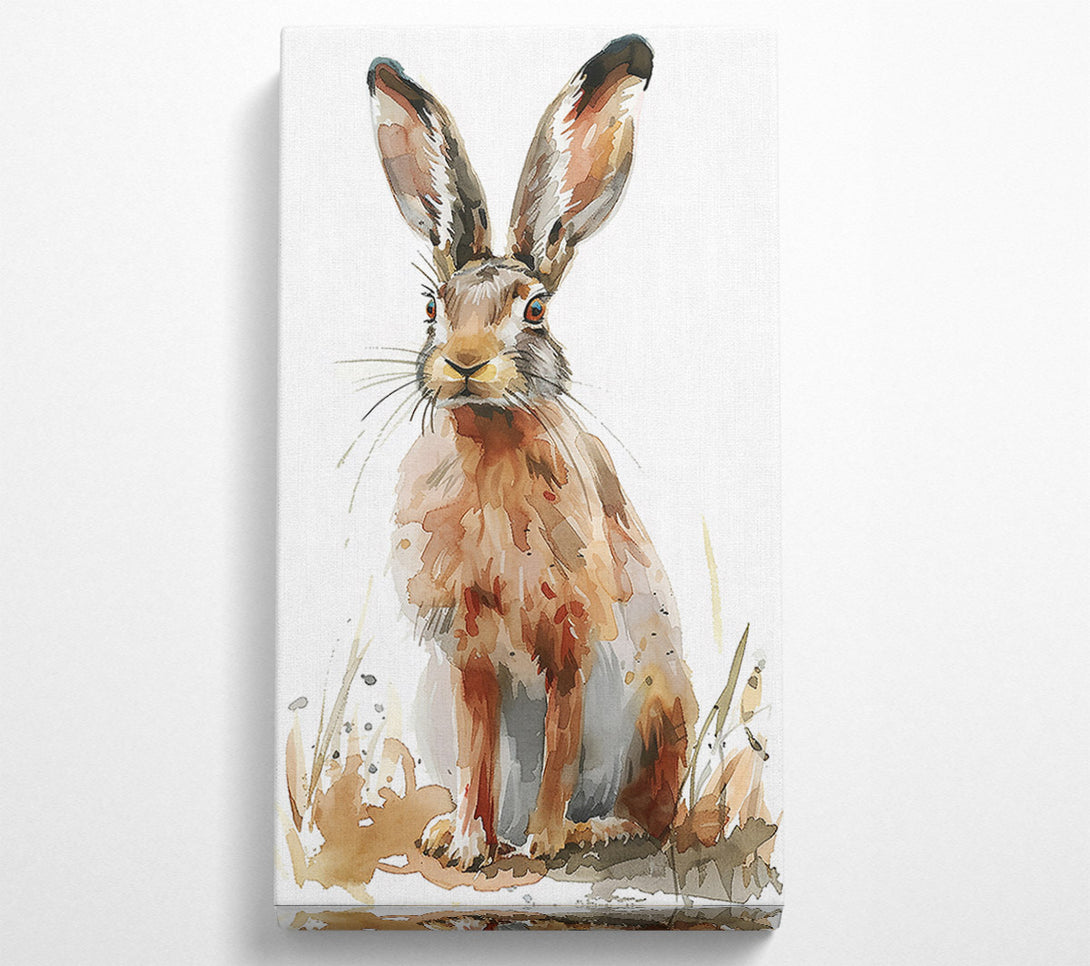  A Canvas Print of Golden Brown Hare Canvas Print