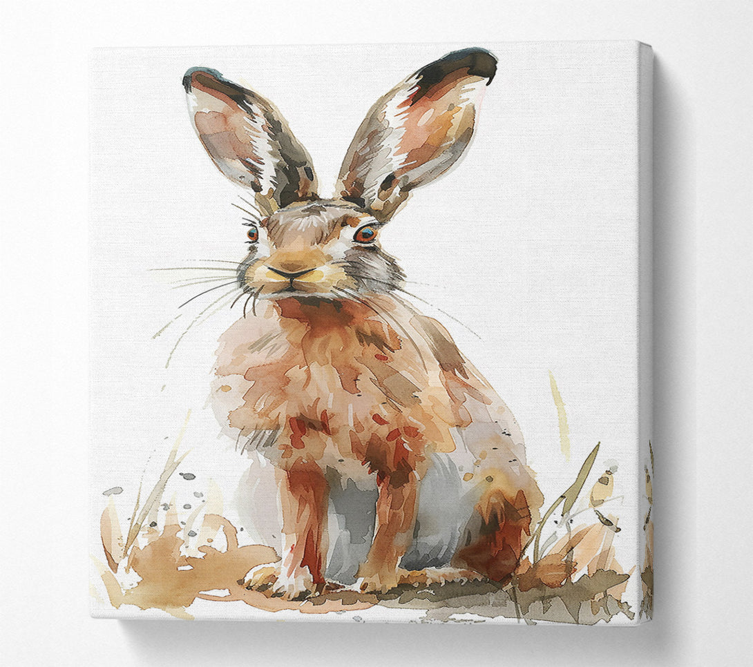  A Canvas Print of Golden Brown Hare Canvas Print
