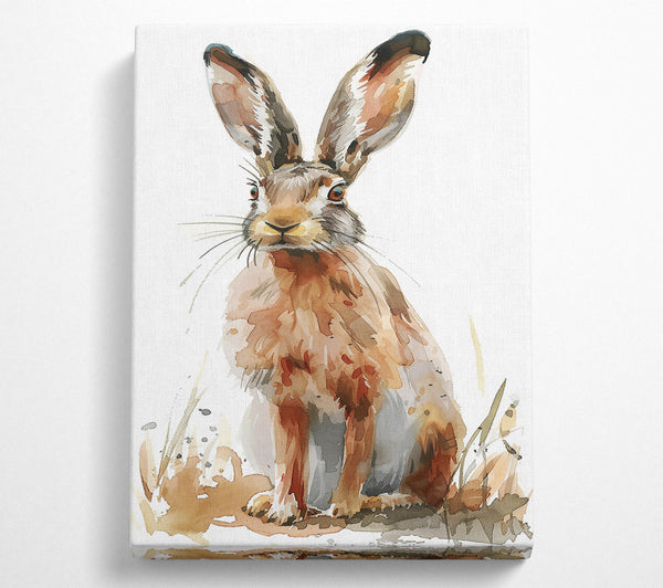 A Canvas Print of Golden Brown Hare Canvas Print