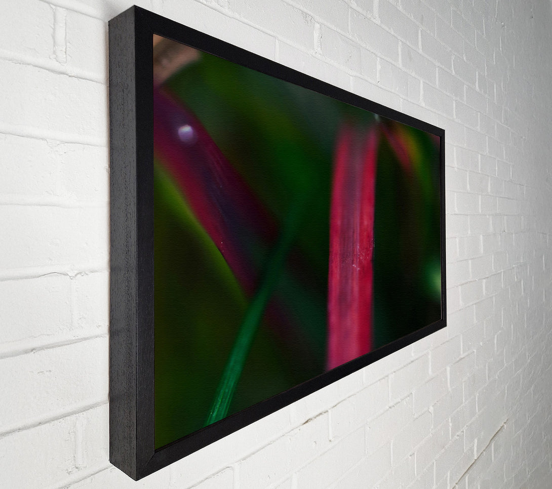  A Canvas Print of Crimson Blade Of Grass Canvas Wall Art