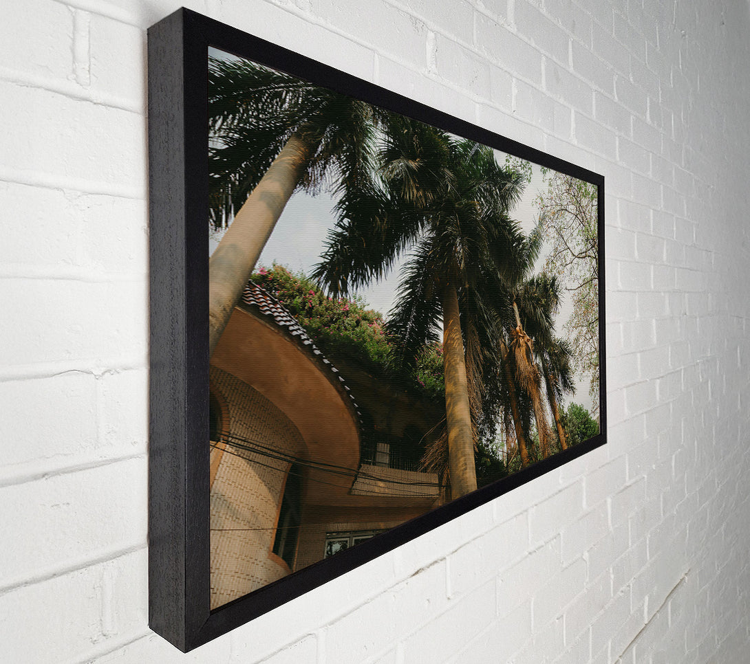  A Canvas Print of Golden Palm Trees Canvas Art