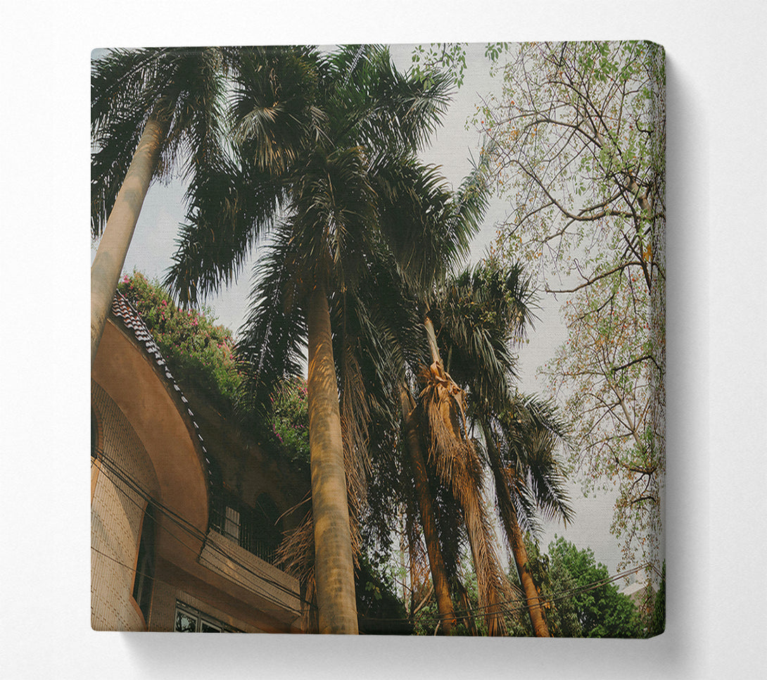  A Canvas Print of Golden Palm Trees Canvas Art