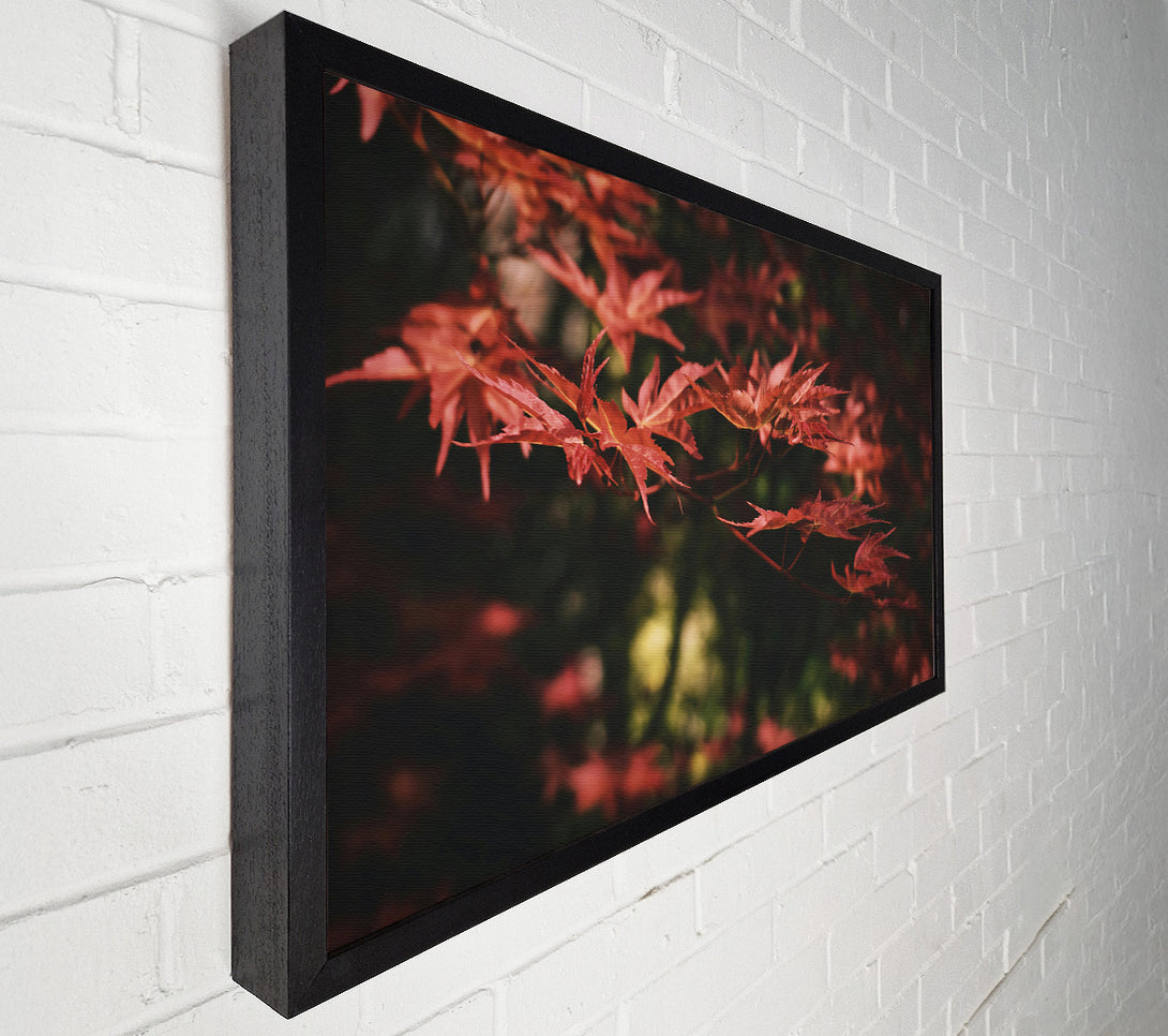  A Canvas Print of Crimson Autumn Leaves Canvas Wall Art
