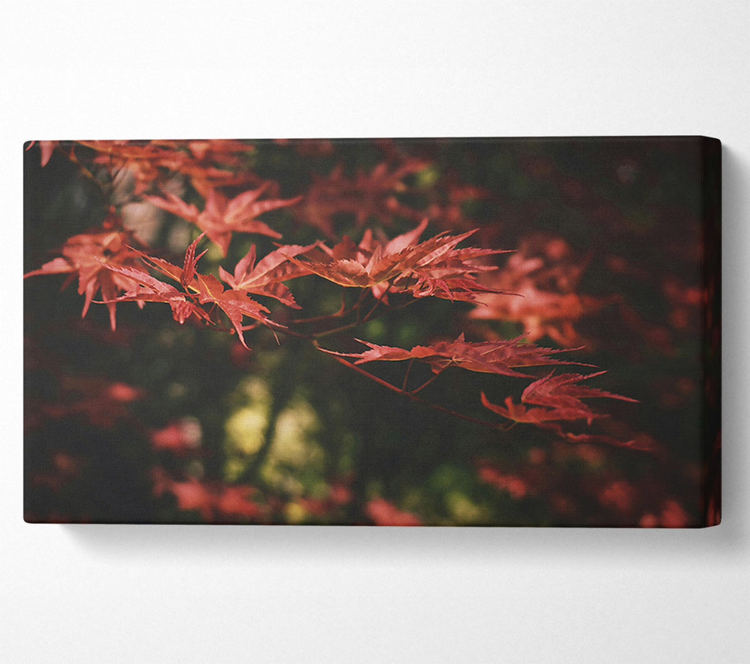  A Canvas Print of Crimson Autumn Leaves Canvas Wall Art