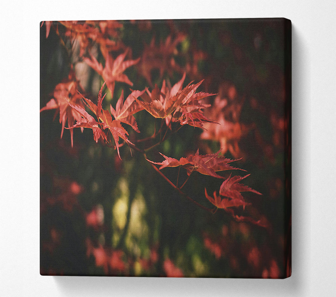 A Canvas Print of Crimson Autumn Leaves Canvas Wall Art