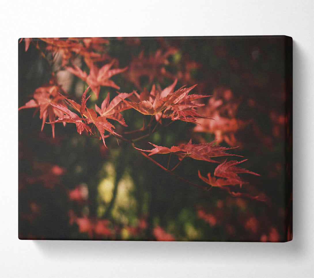  A Canvas Print of Crimson Autumn Leaves Canvas Wall Art