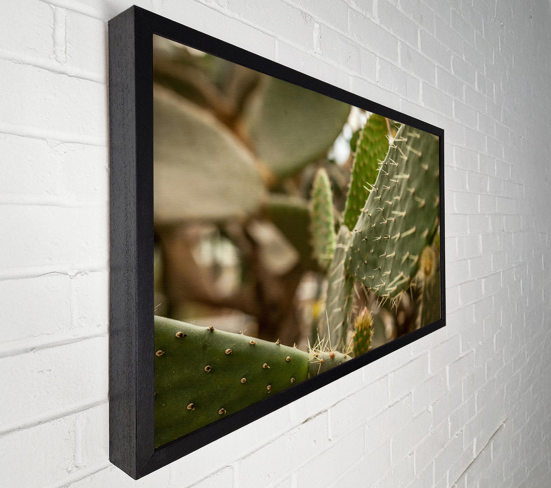  A Canvas Print of Green Cactus Spines Canvas Print