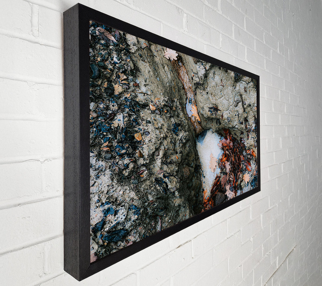  A Canvas Print of Grey Creek Runoff Canvas Wall Art
