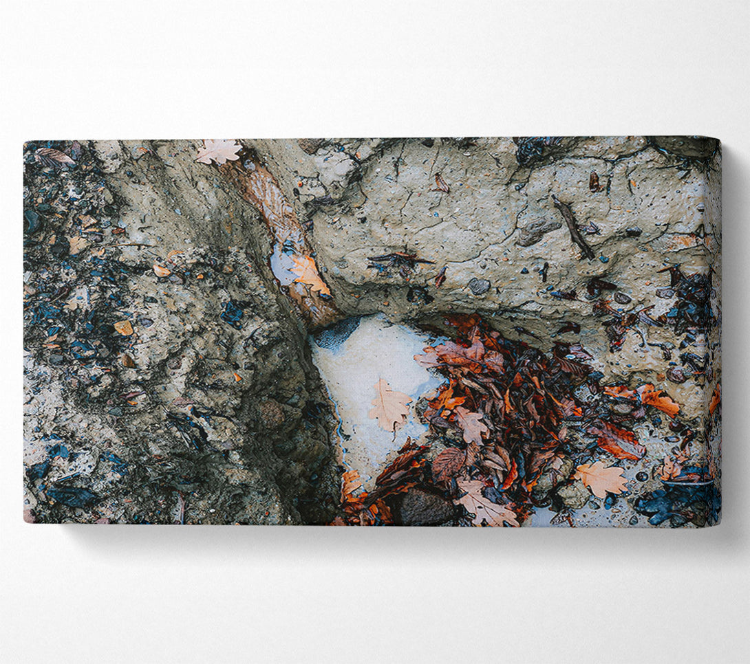  A Canvas Print of Grey Creek Runoff Canvas Wall Art