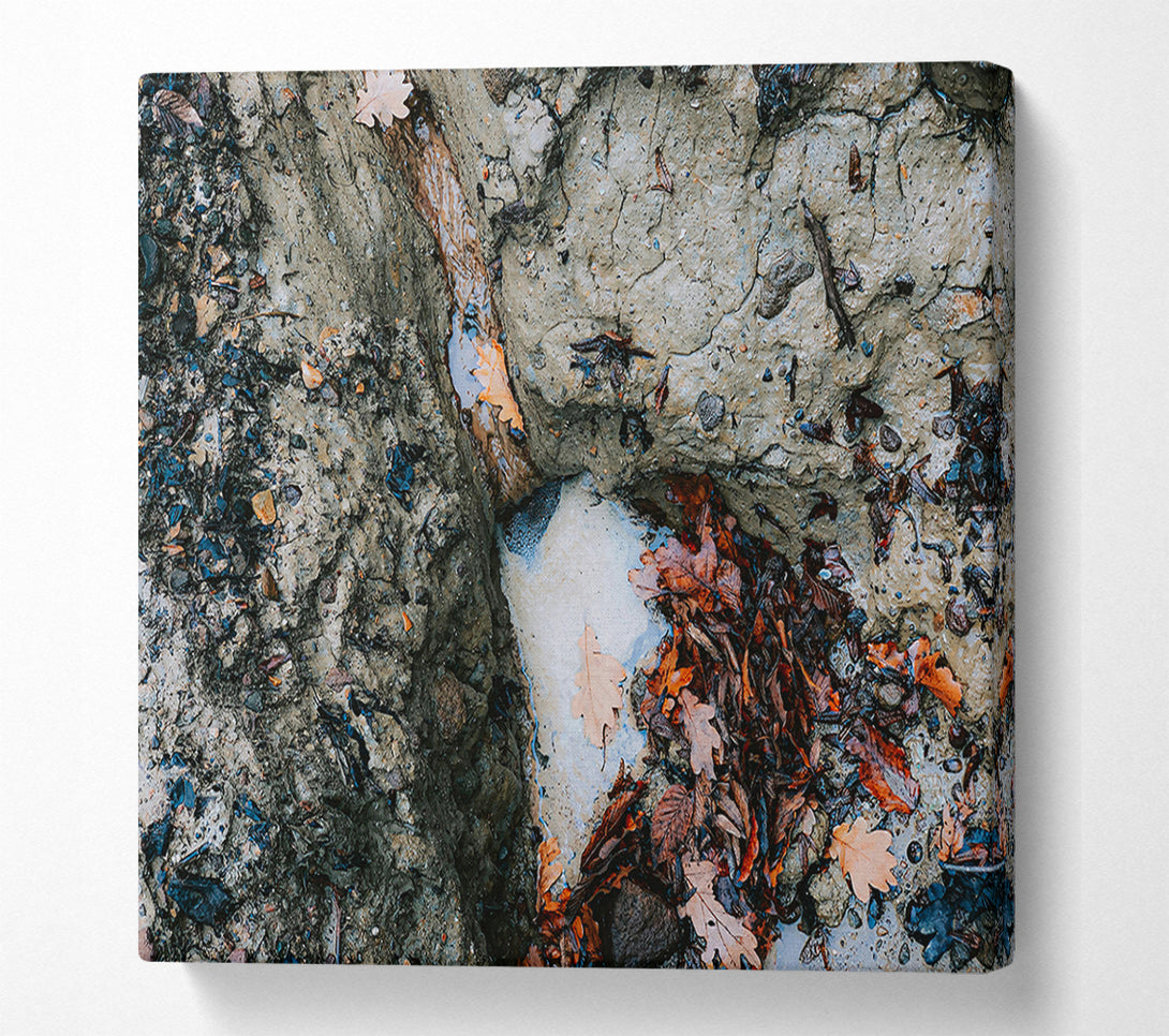  A Canvas Print of Grey Creek Runoff Canvas Wall Art