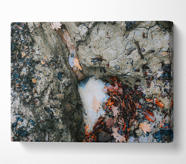  A Canvas Print of Grey Creek Runoff Canvas Wall Art