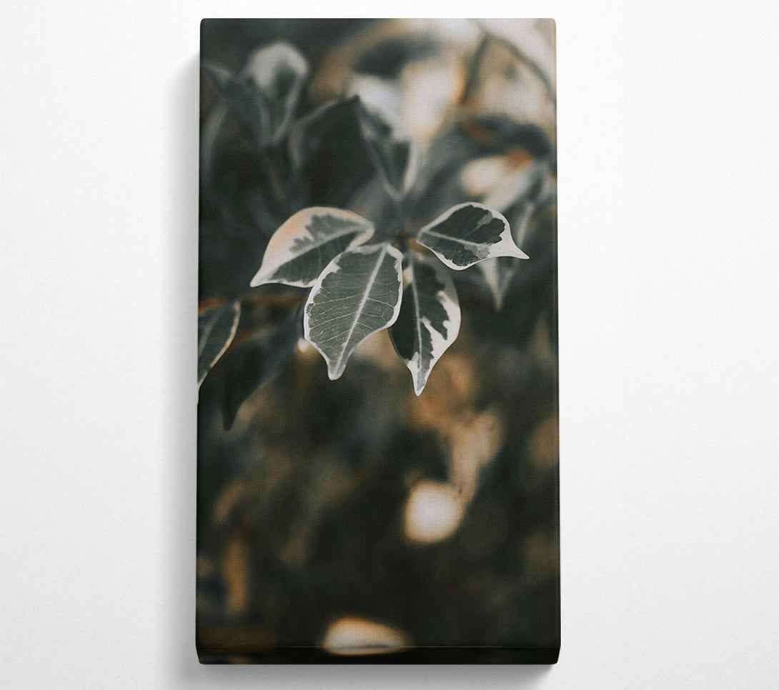  A Canvas Print of Green Veined Leaves Canvas Art