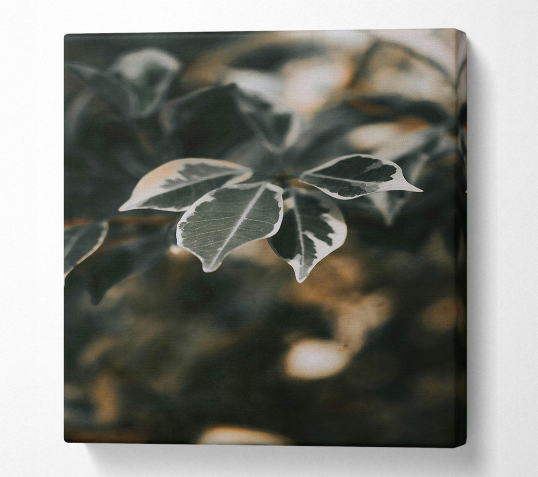  A Canvas Print of Green Veined Leaves Canvas Art