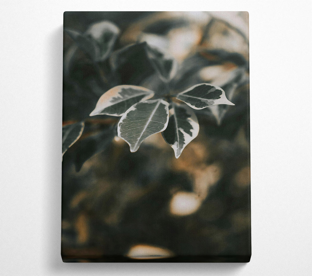  A Canvas Print of Green Veined Leaves Canvas Art