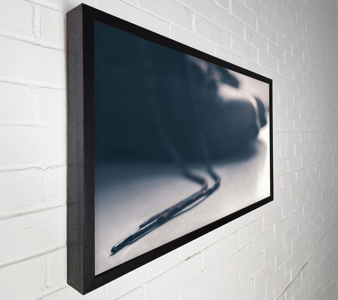  A Canvas Print of Grey Shoe String Canvas Print