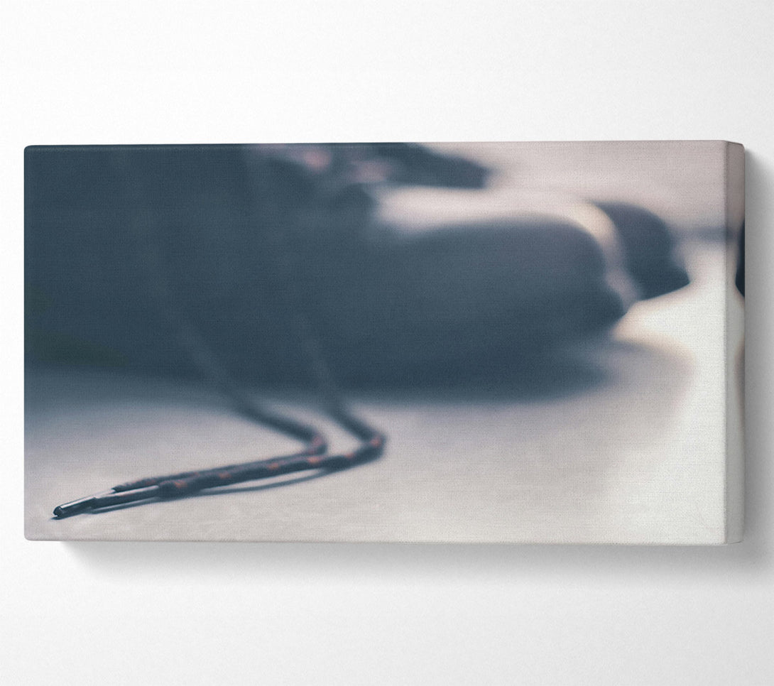  A Canvas Print of Grey Shoe String Canvas Print