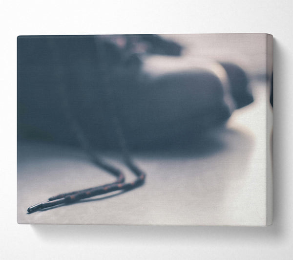  A Canvas Print of Grey Shoe String Canvas Print
