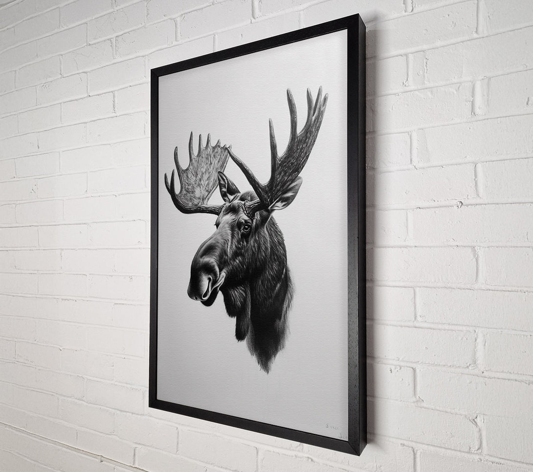  A Canvas Print of Black & White Moose Portrait Canvas Art