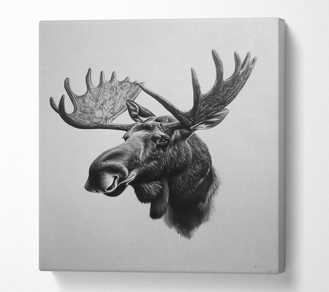  A Canvas Print of Black & White Moose Portrait Canvas Art