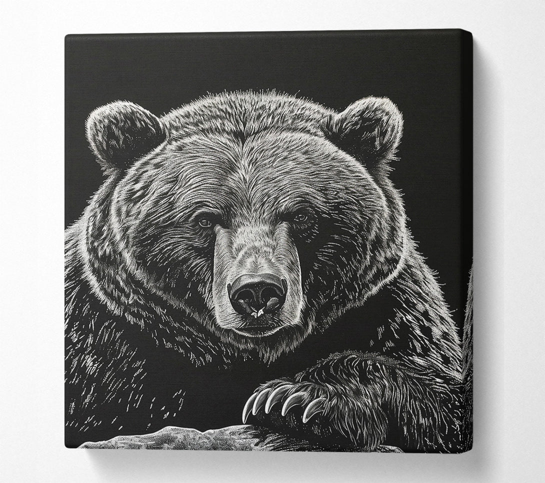  A Canvas Print of White Bear Gaze Canvas Art