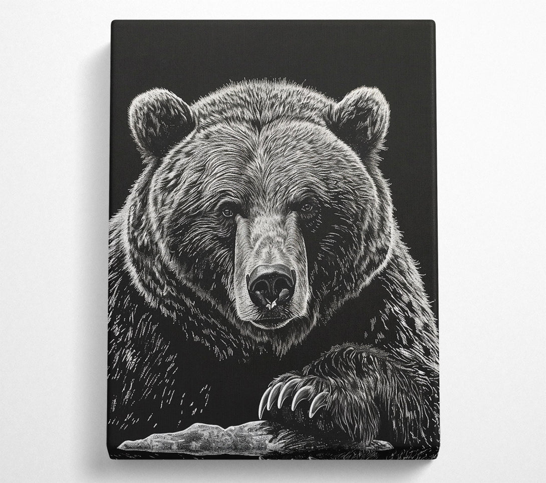  A Canvas Print of White Bear Gaze Canvas Art