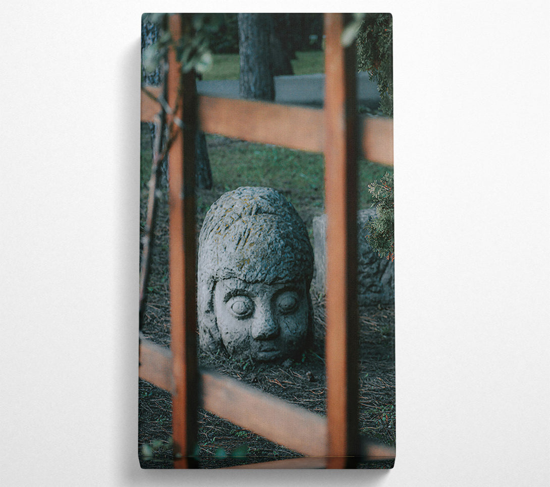  A Canvas Print of Stone Gaze Through Grey Bars Canvas Print