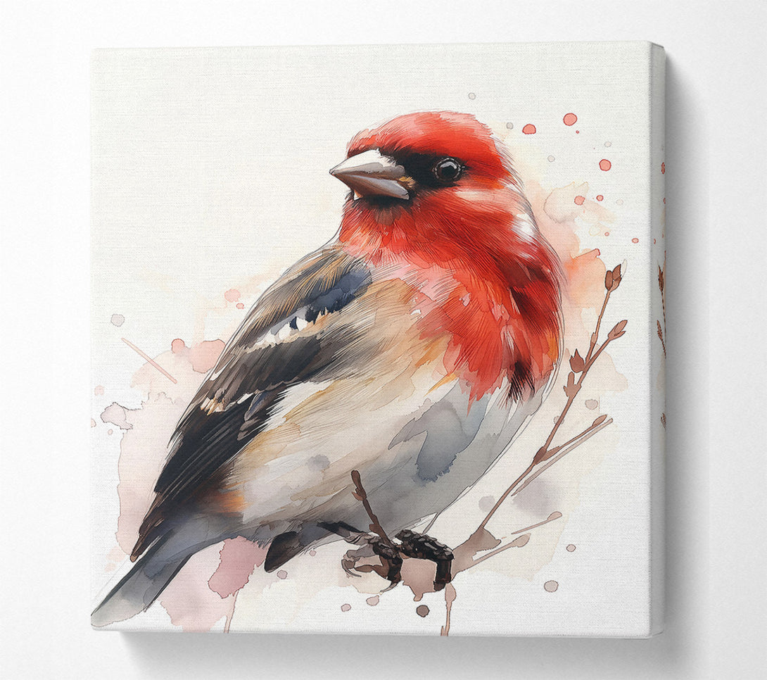  A Canvas Print of Crimson Watercolor Bird Canvas Wall Art
