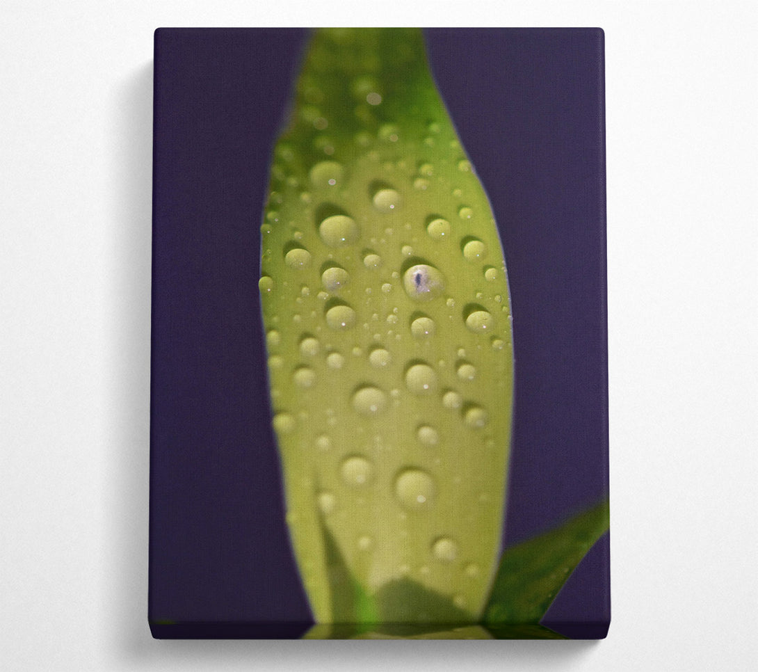  A Canvas Print of Emerald Dew Drops Canvas Wall Art
