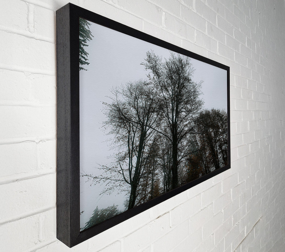  A Canvas Print of Grey Silhouettes In Mist Canvas Wall Art