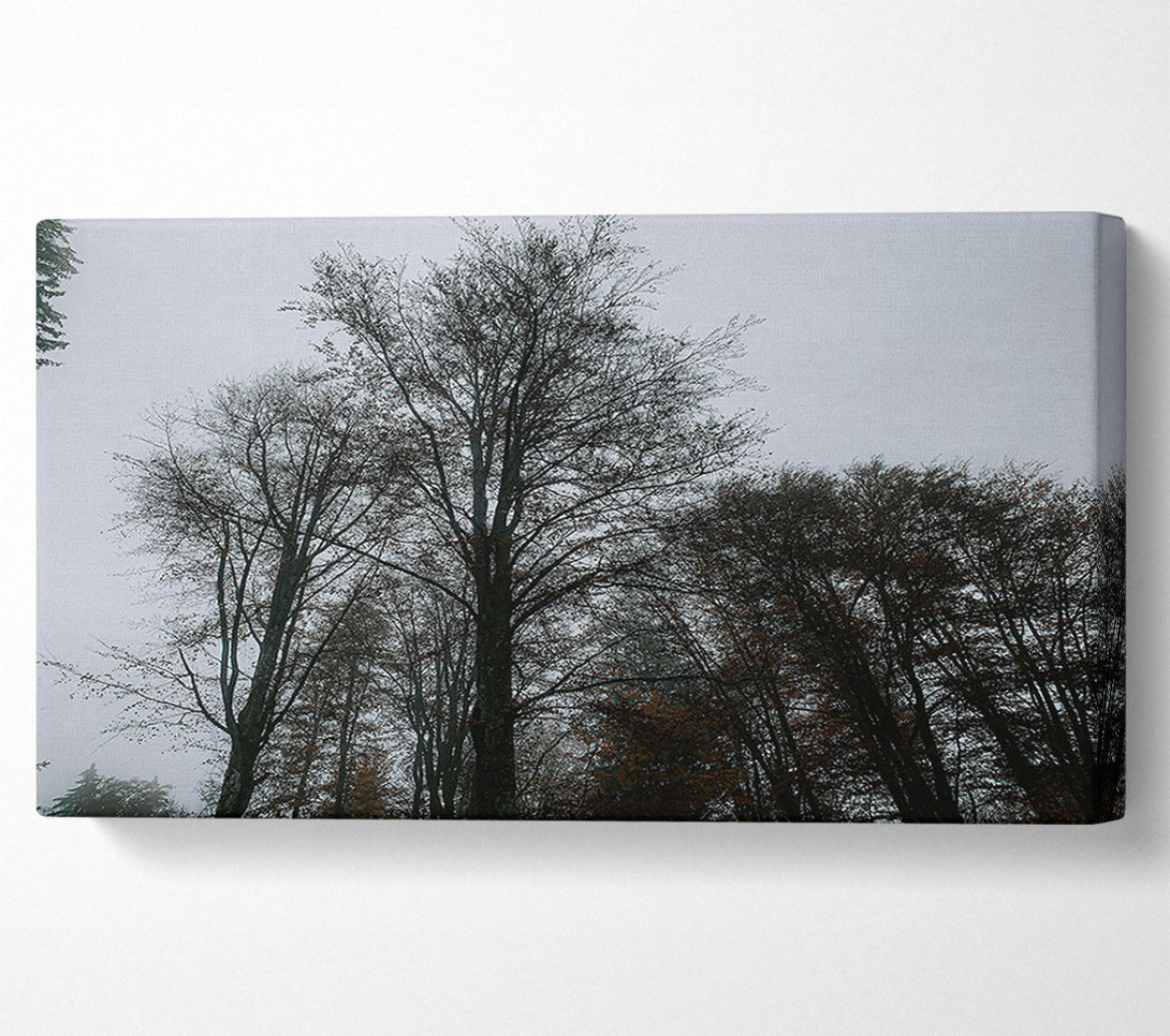  A Canvas Print of Grey Silhouettes In Mist Canvas Wall Art