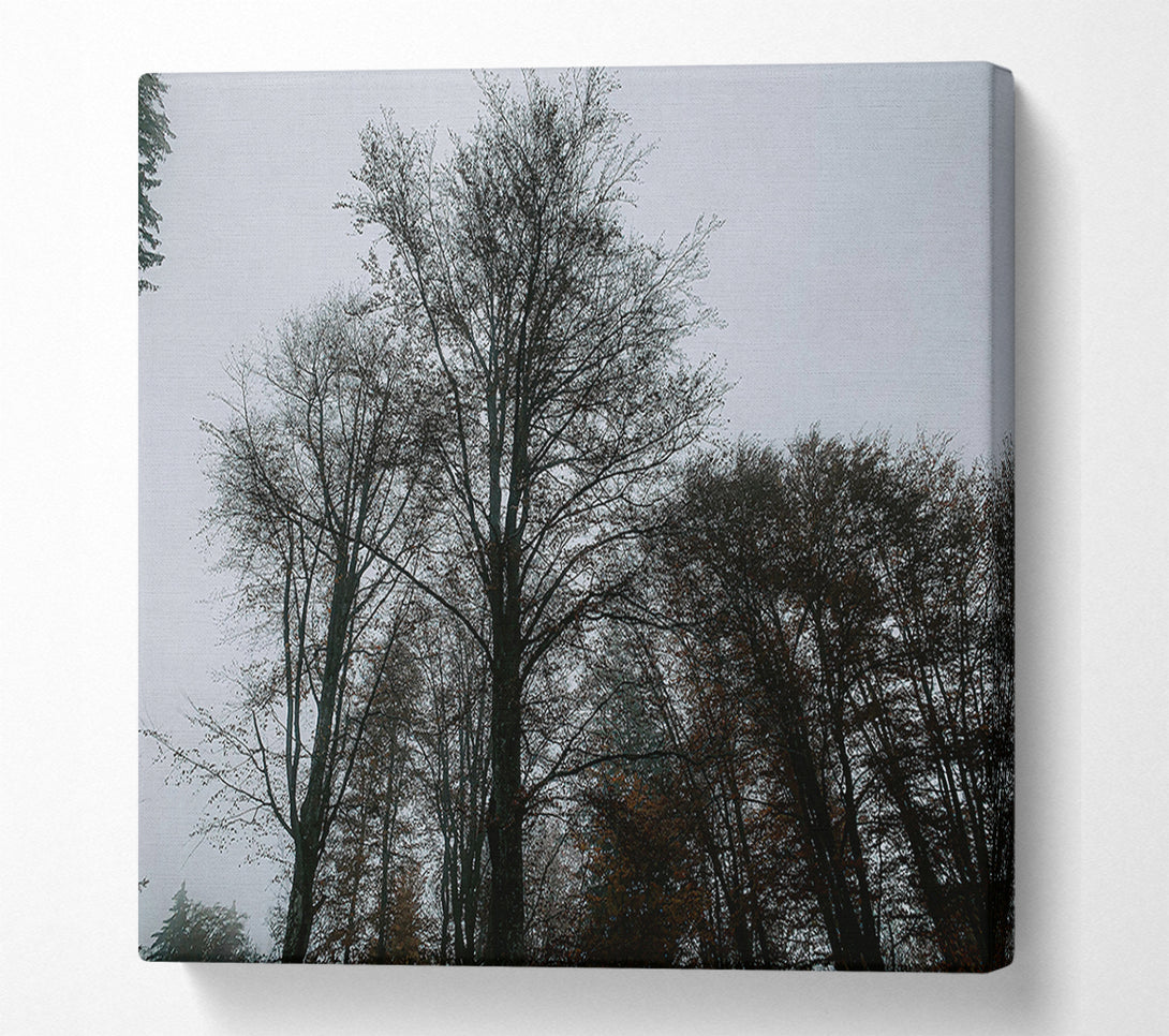  A Canvas Print of Grey Silhouettes In Mist Canvas Wall Art