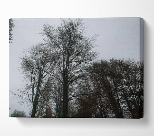  A Canvas Print of Grey Silhouettes In Mist Canvas Wall Art