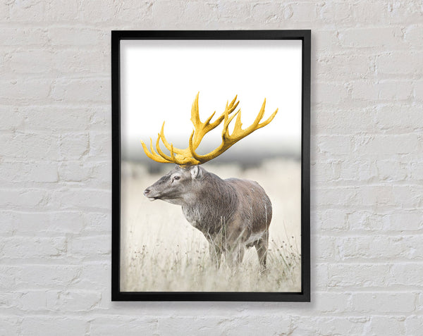 Gold Stag Looking Framed Print