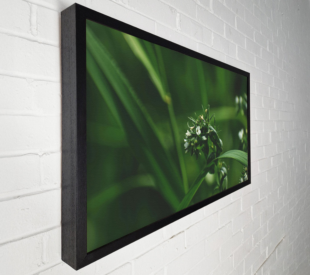  A Canvas Print of Emerald White Blooms. Canvas Wall Art
