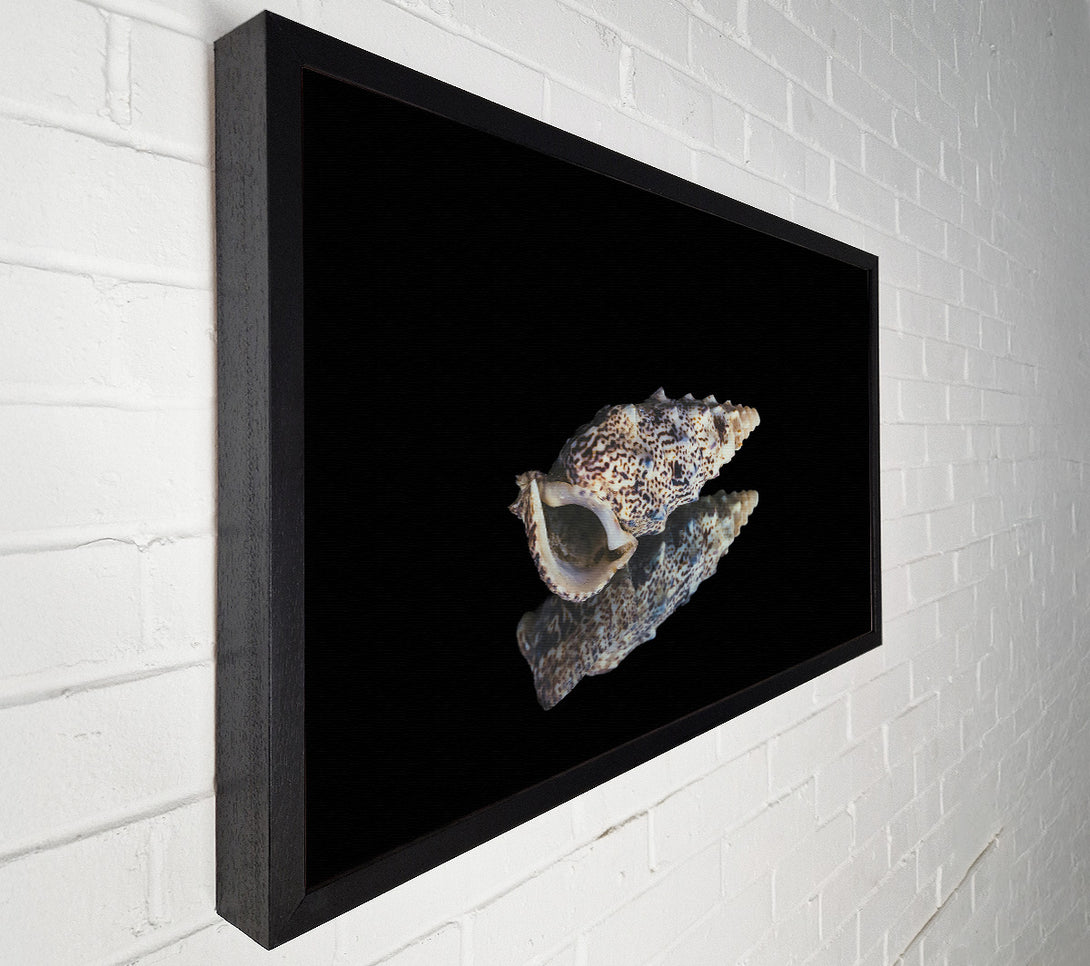  A Canvas Print of Brown Speckled Shell Canvas Art