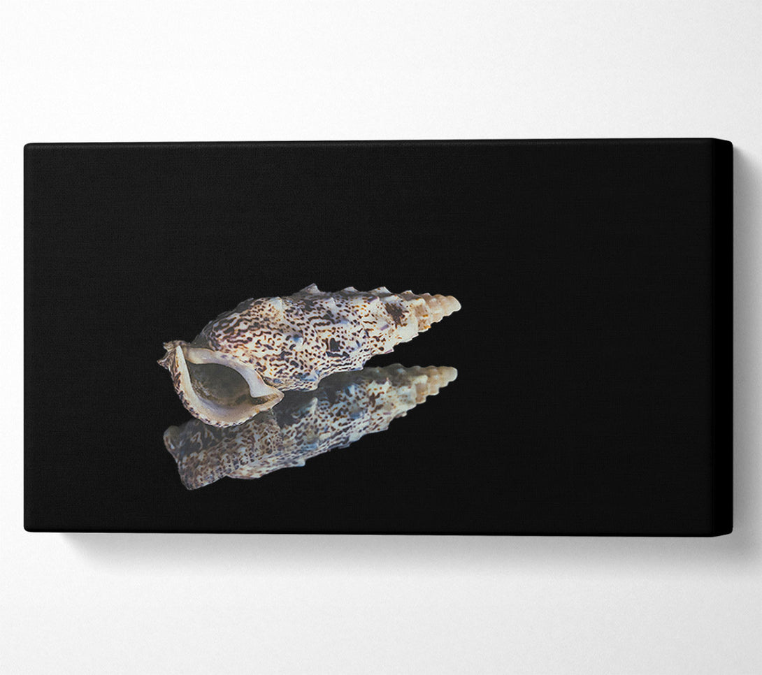 A Canvas Print of Brown Speckled Shell Canvas Art