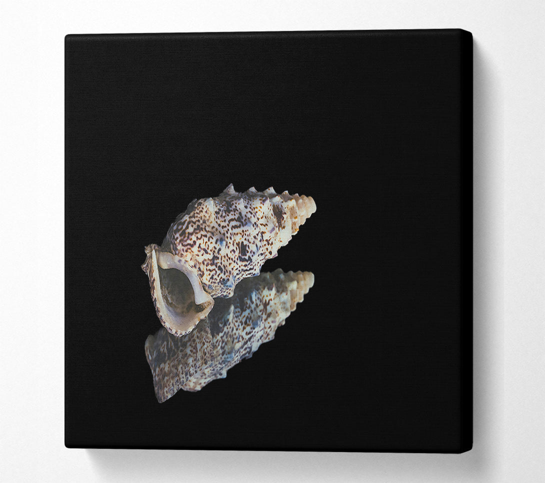  A Canvas Print of Brown Speckled Shell Canvas Art