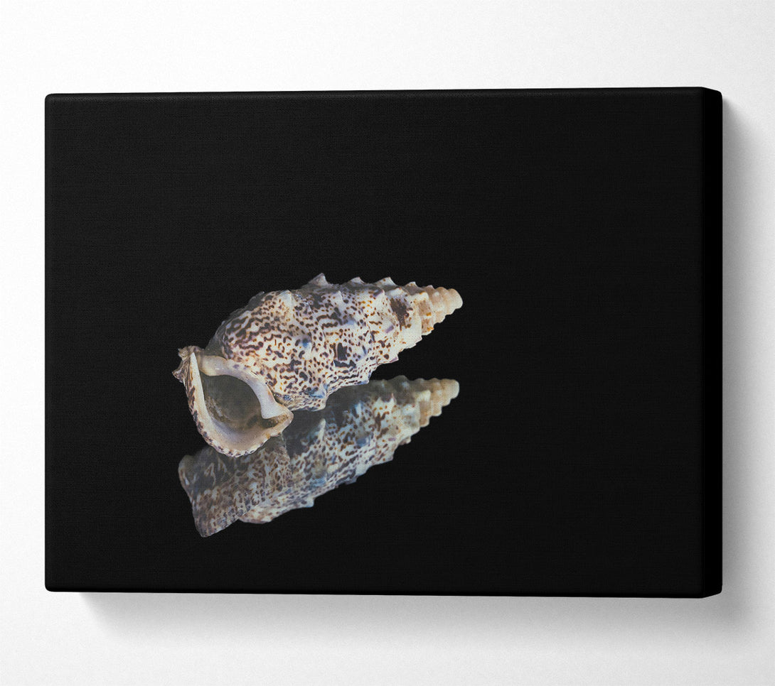  A Canvas Print of Brown Speckled Shell Canvas Art