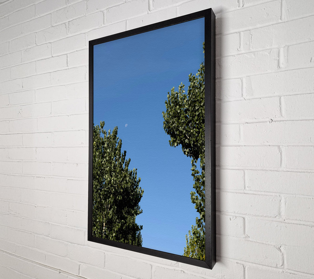  A Canvas Print of Blue Sky Embrace Canvas Print