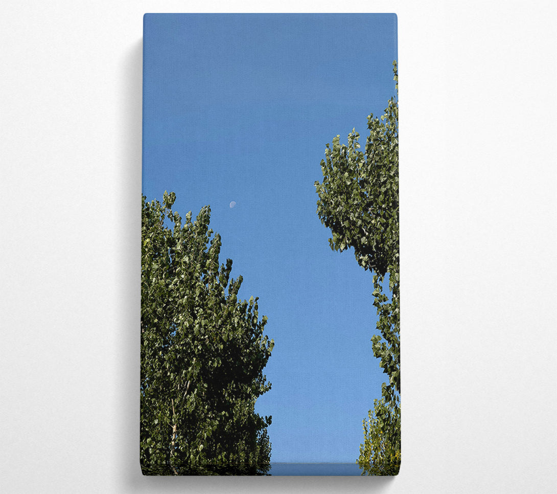  A Canvas Print of Blue Sky Embrace Canvas Print