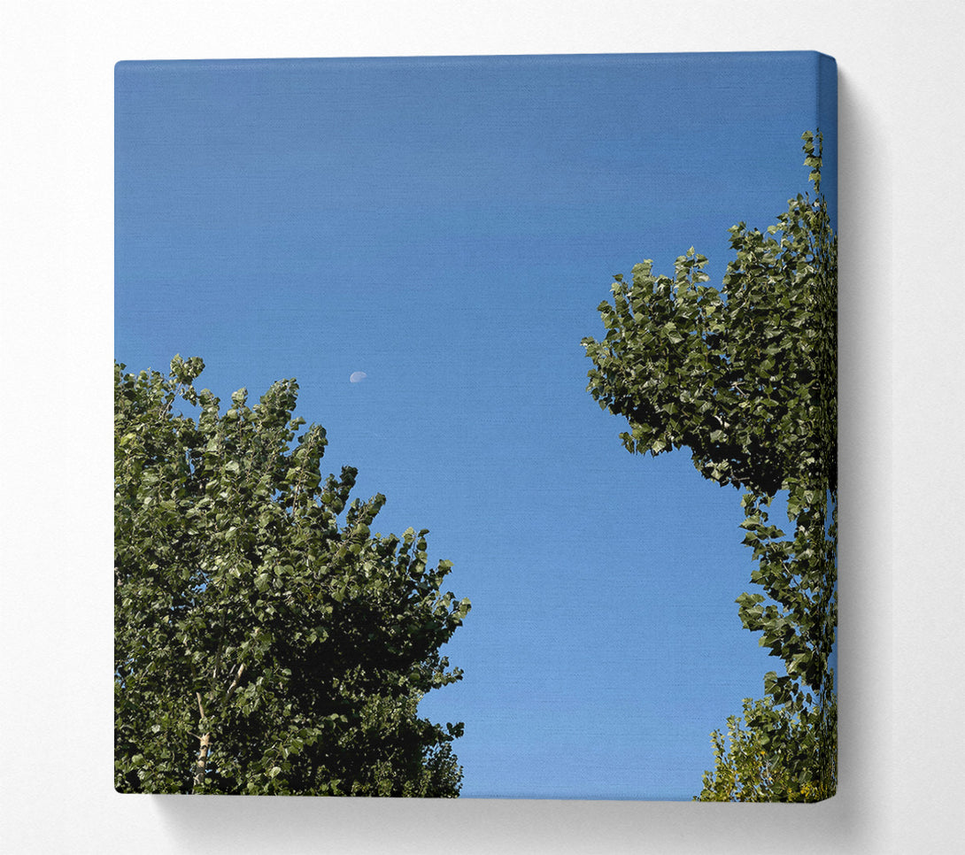  A Canvas Print of Blue Sky Embrace Canvas Print