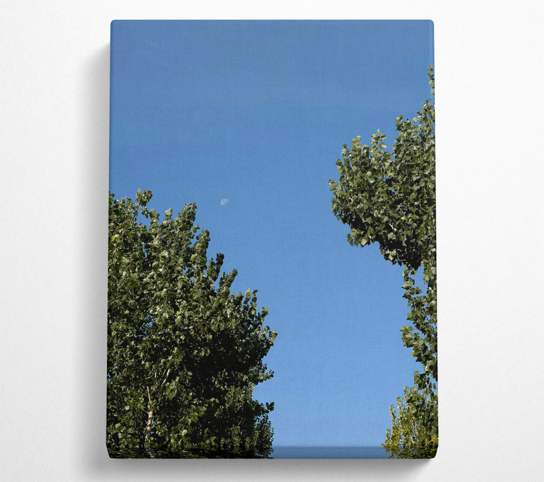 A Canvas Print of Blue Sky Embrace Canvas Print
