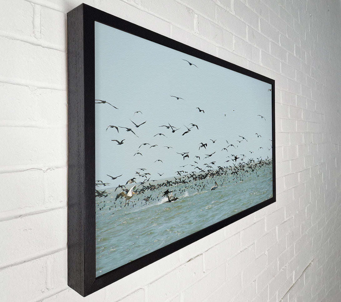  A Canvas Print of Azure Avian Frenzy Canvas Print